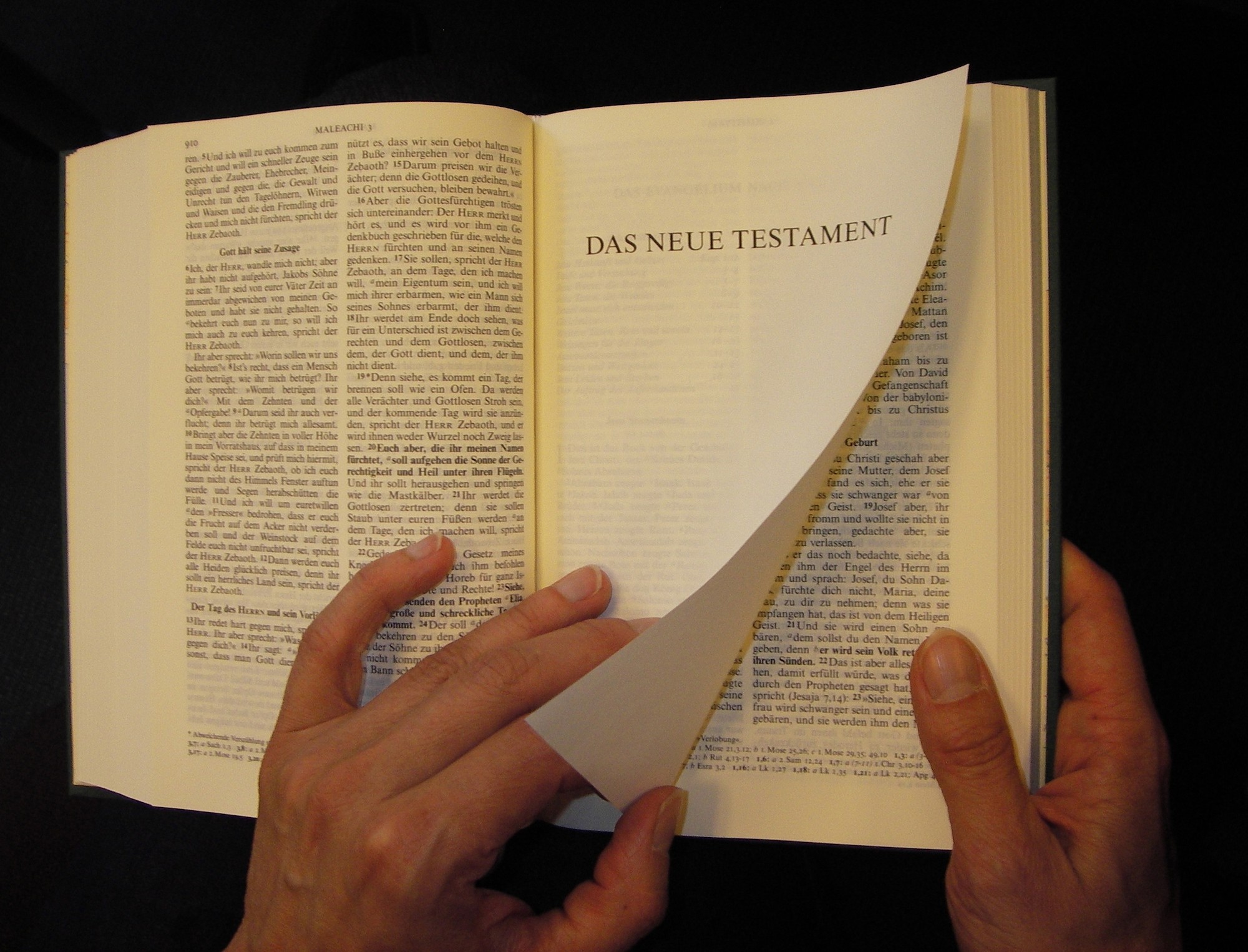 Mehr über den Artikel erfahren Bibellesen für Mutige