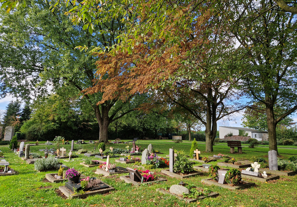 Reusrather Friedhof: Urnenfeld mit quadratischen Gräbern